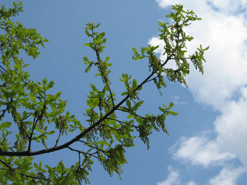 �������� ��� [�������]