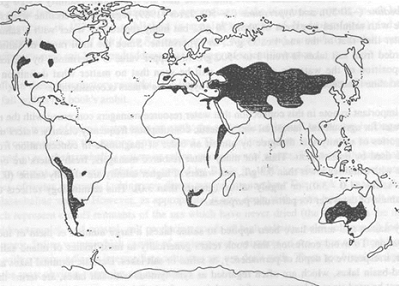 ������������� ������ ��� [�� ���������]