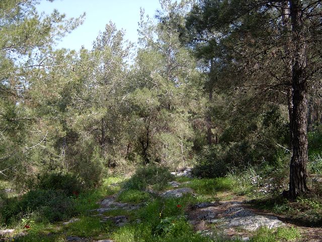 �������� ��� [ Oleg  Lerman]