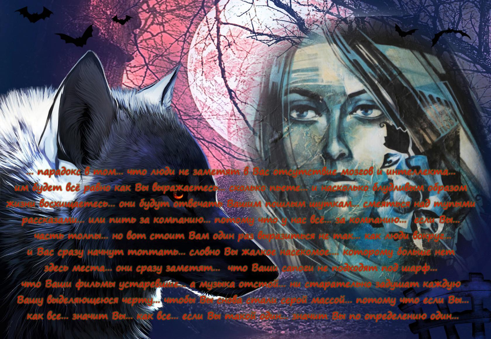 ����������  [���������� ���� �������������]