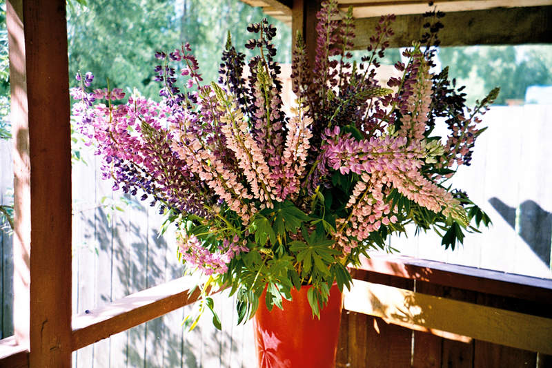  [�.�. �����������]