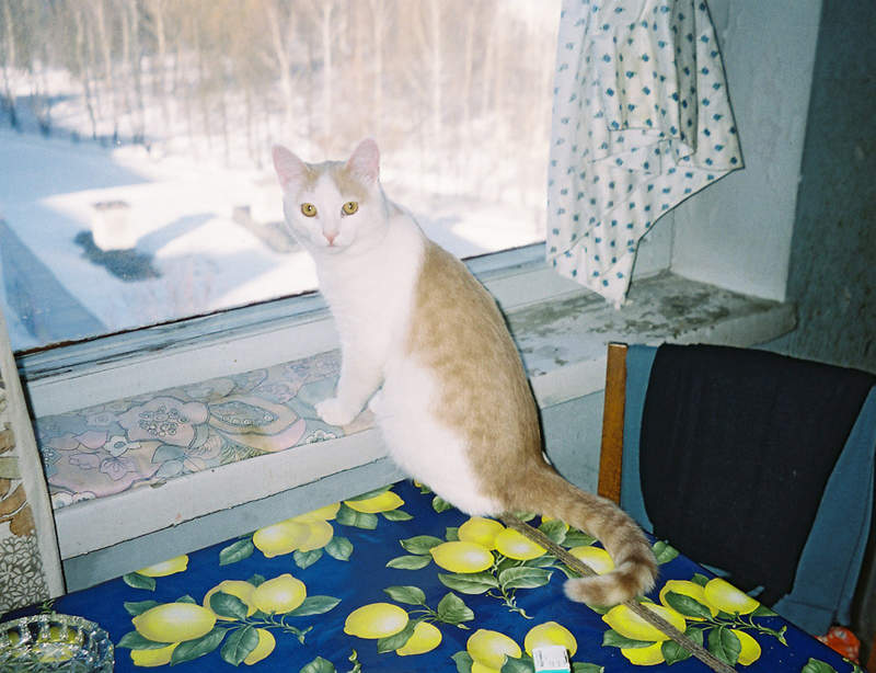  [�.�. ������������]