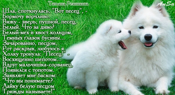 �����. ����� ������. []