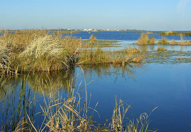  [�.�������]