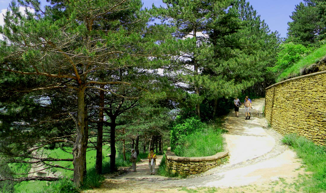  [��������� �������]