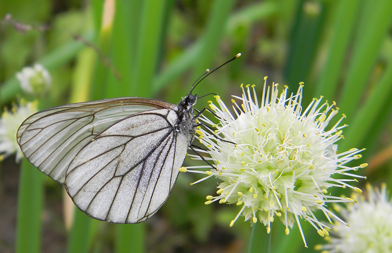  [�.�������]