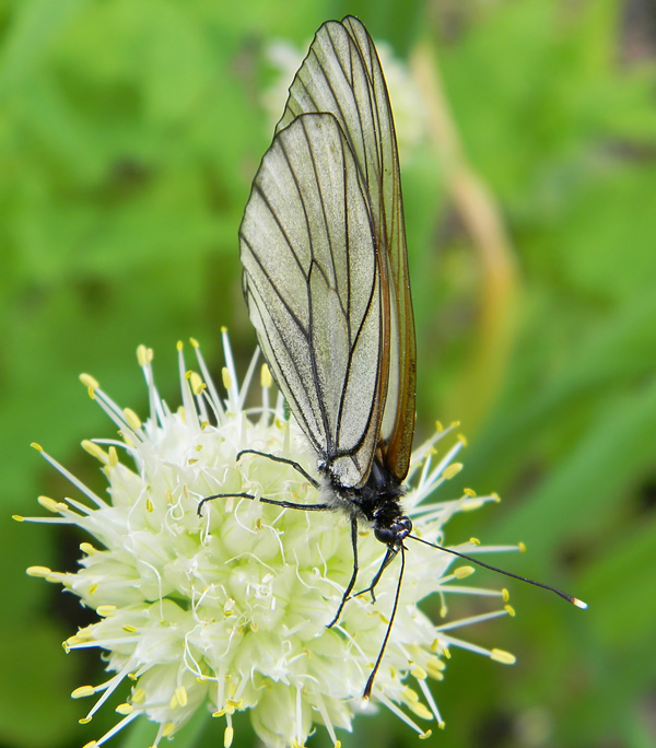  [�.�������]