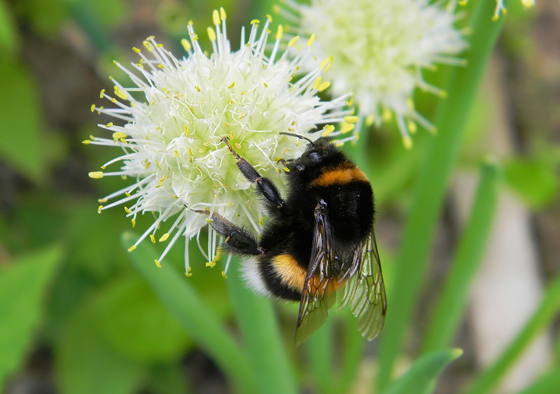  [�.�������]