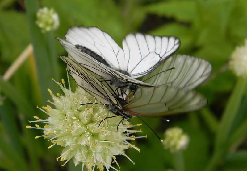  [�.�������]