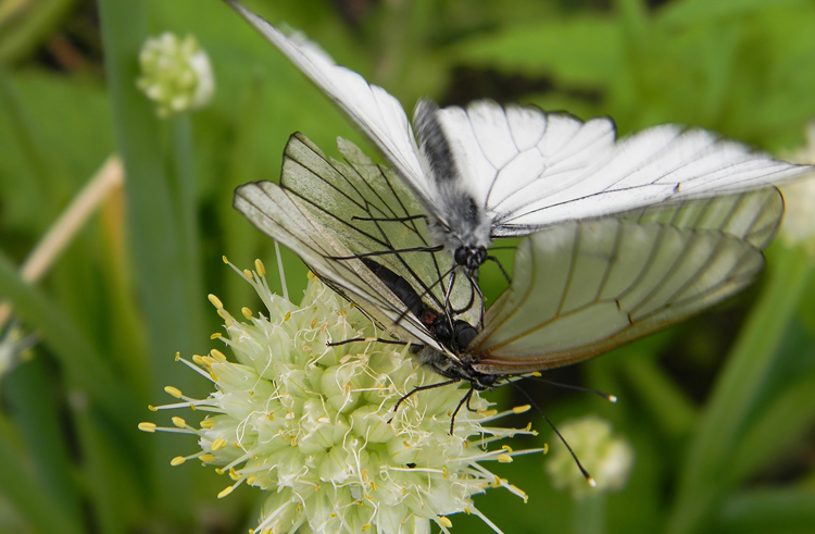  [�.�������]