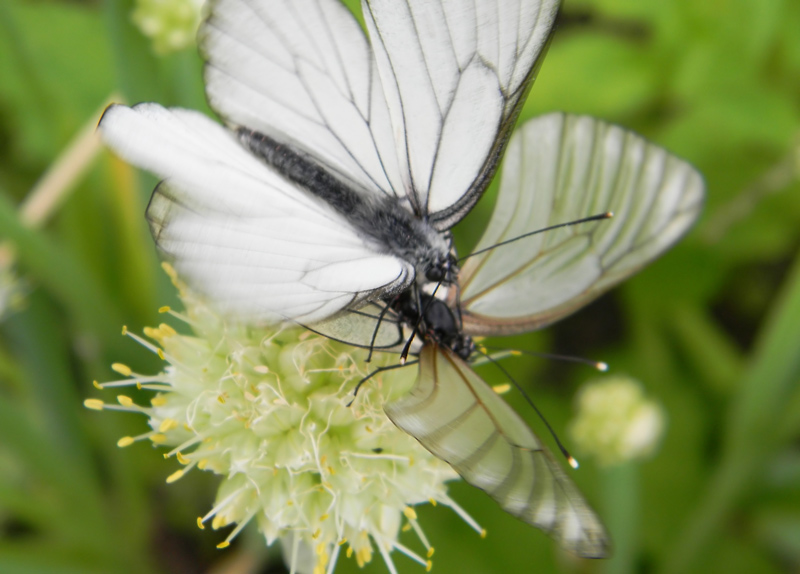  [�.�������]