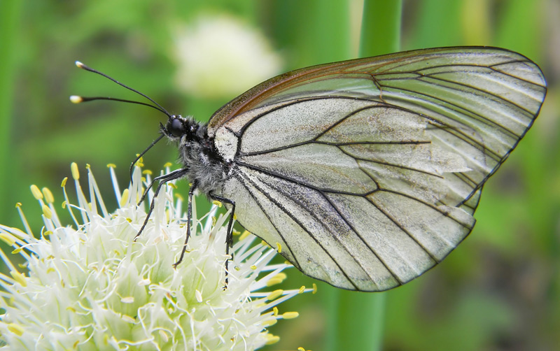  [�.�������]