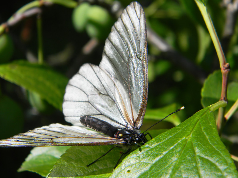  [�.�������]