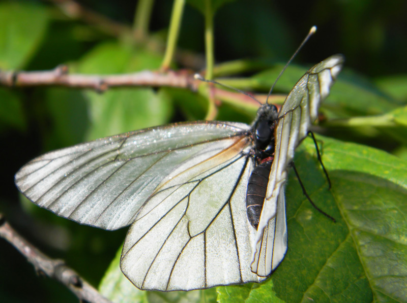  [�.�������]