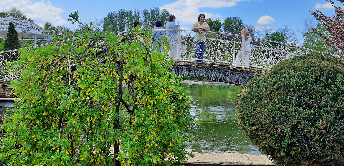  [��������� �������]