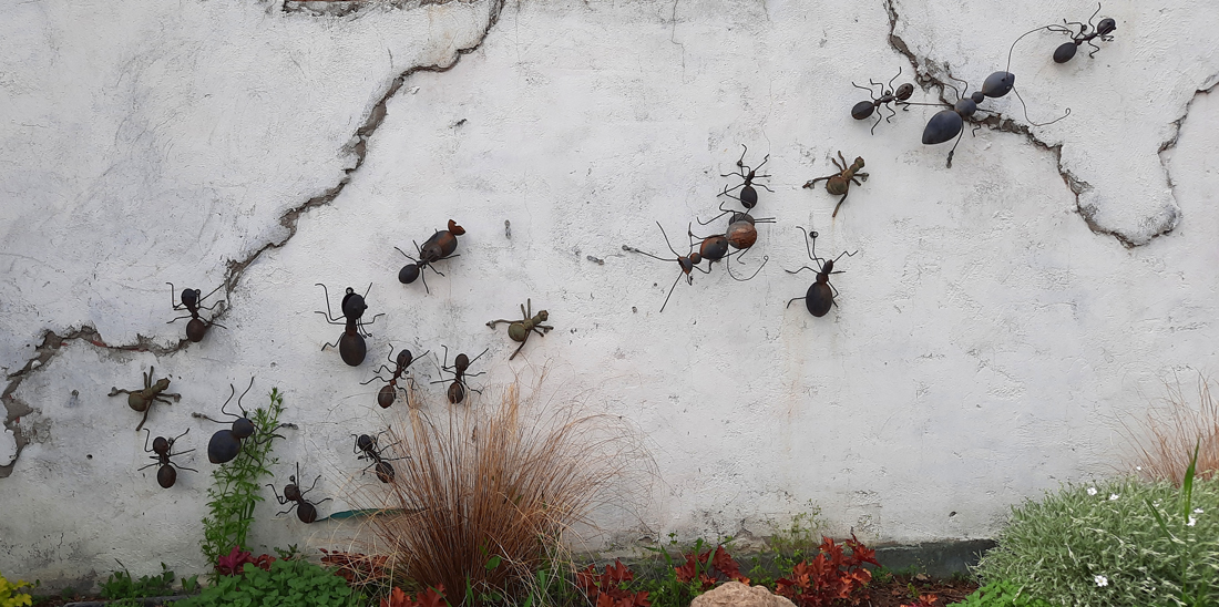  [��������� �������]