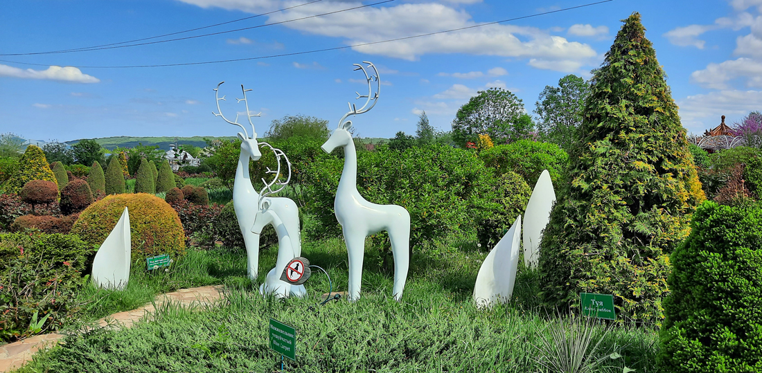  [��������� �������]