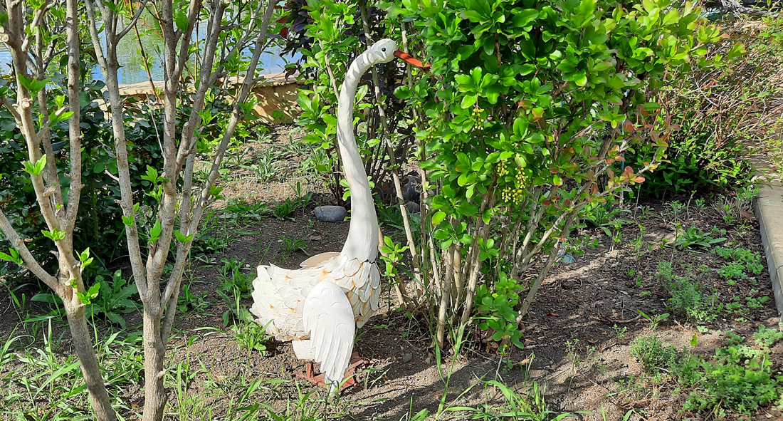  [��������� �������]