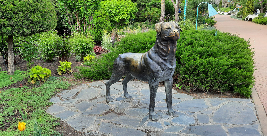  [��������� �������]