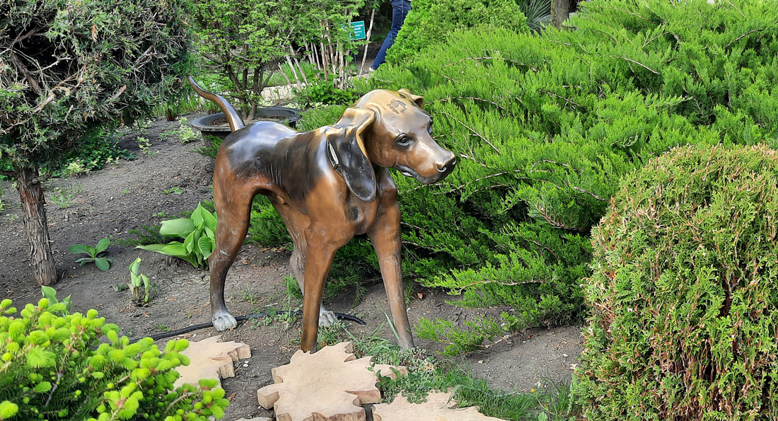  [��������� �������]