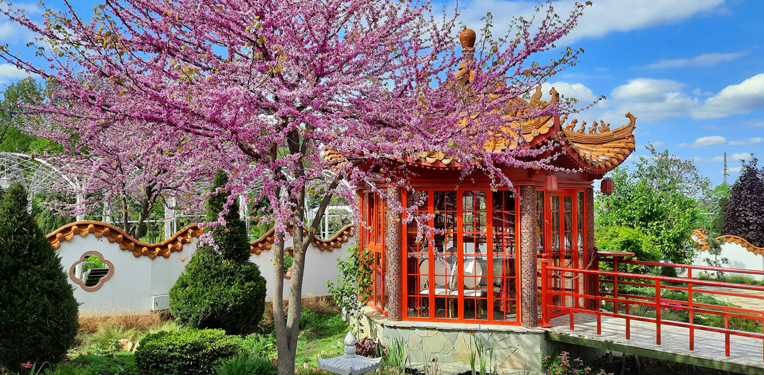  [��������� �������]