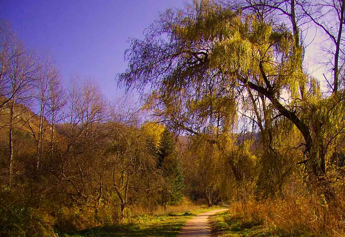  [��������� �������]