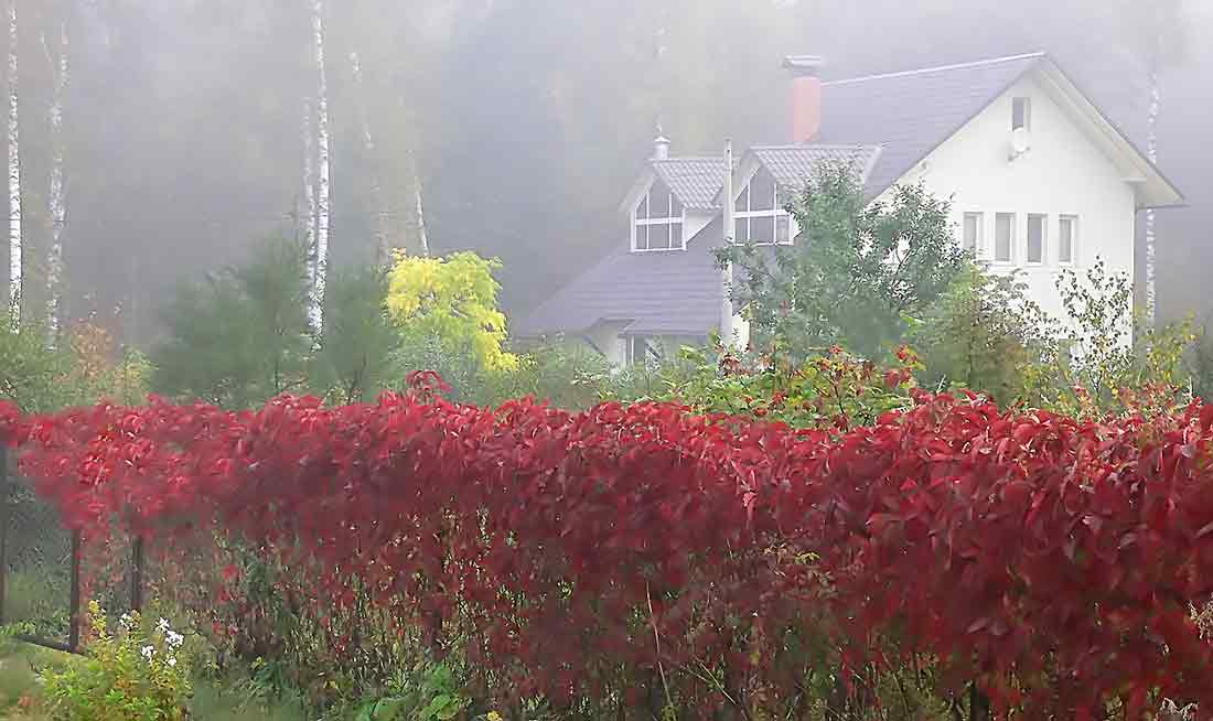  [��������� �������]