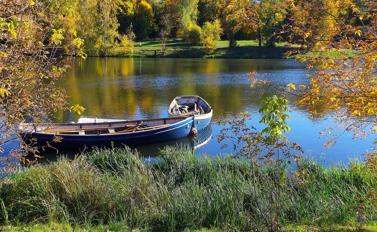  [��������� �������]