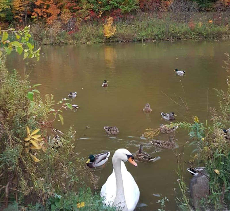  [��������� �������]