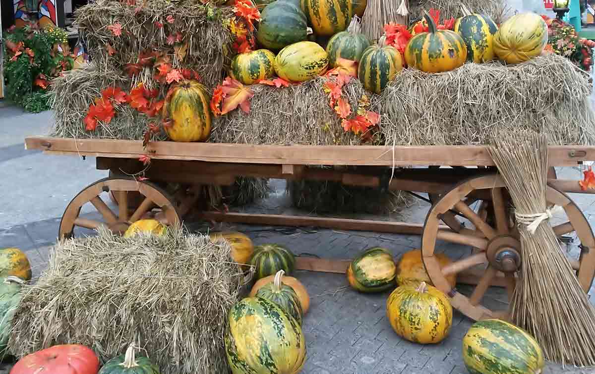  [��������� �������]