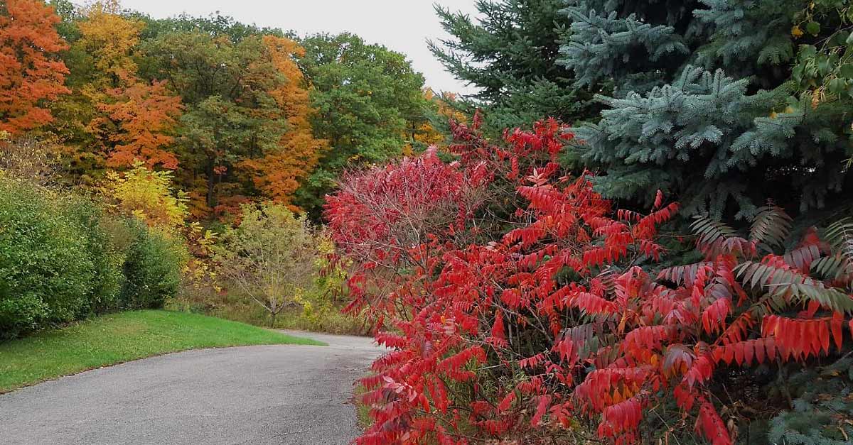  [��������� �������]