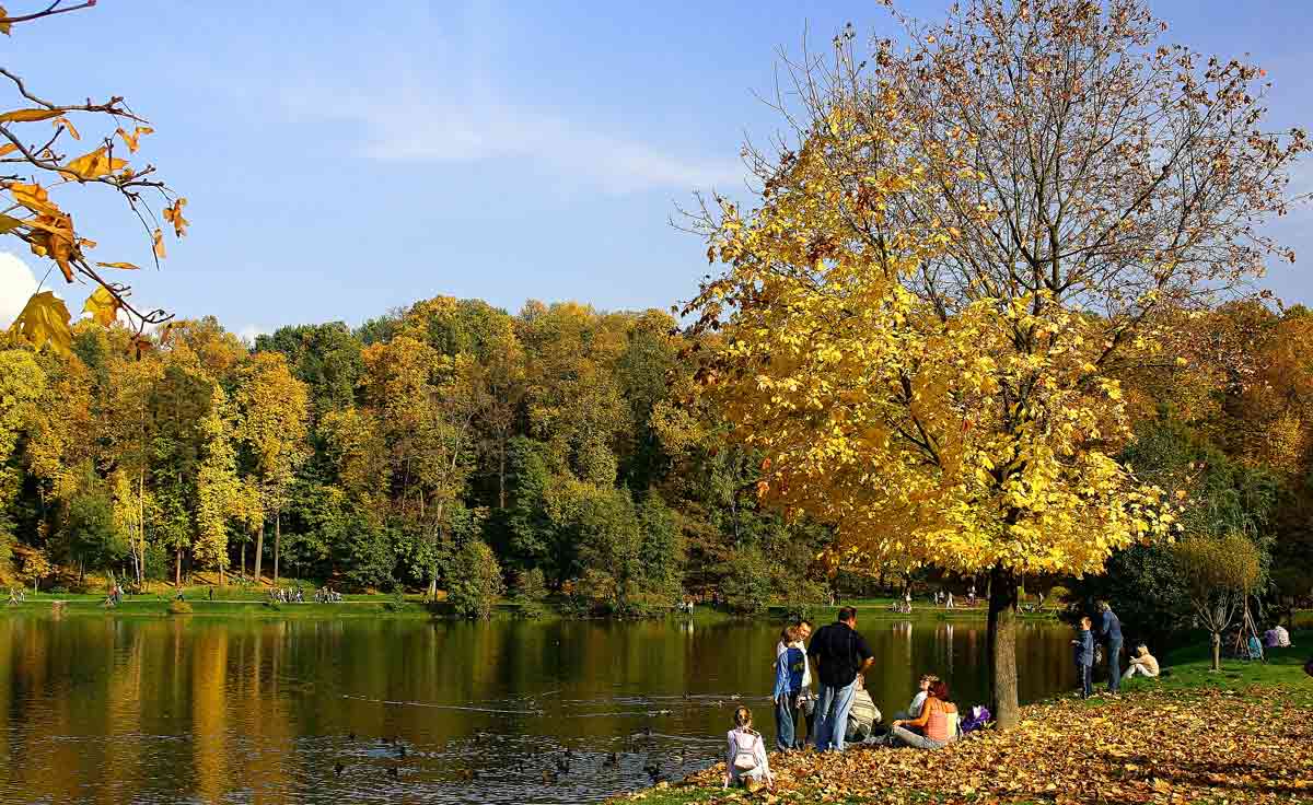  [��������� �������]