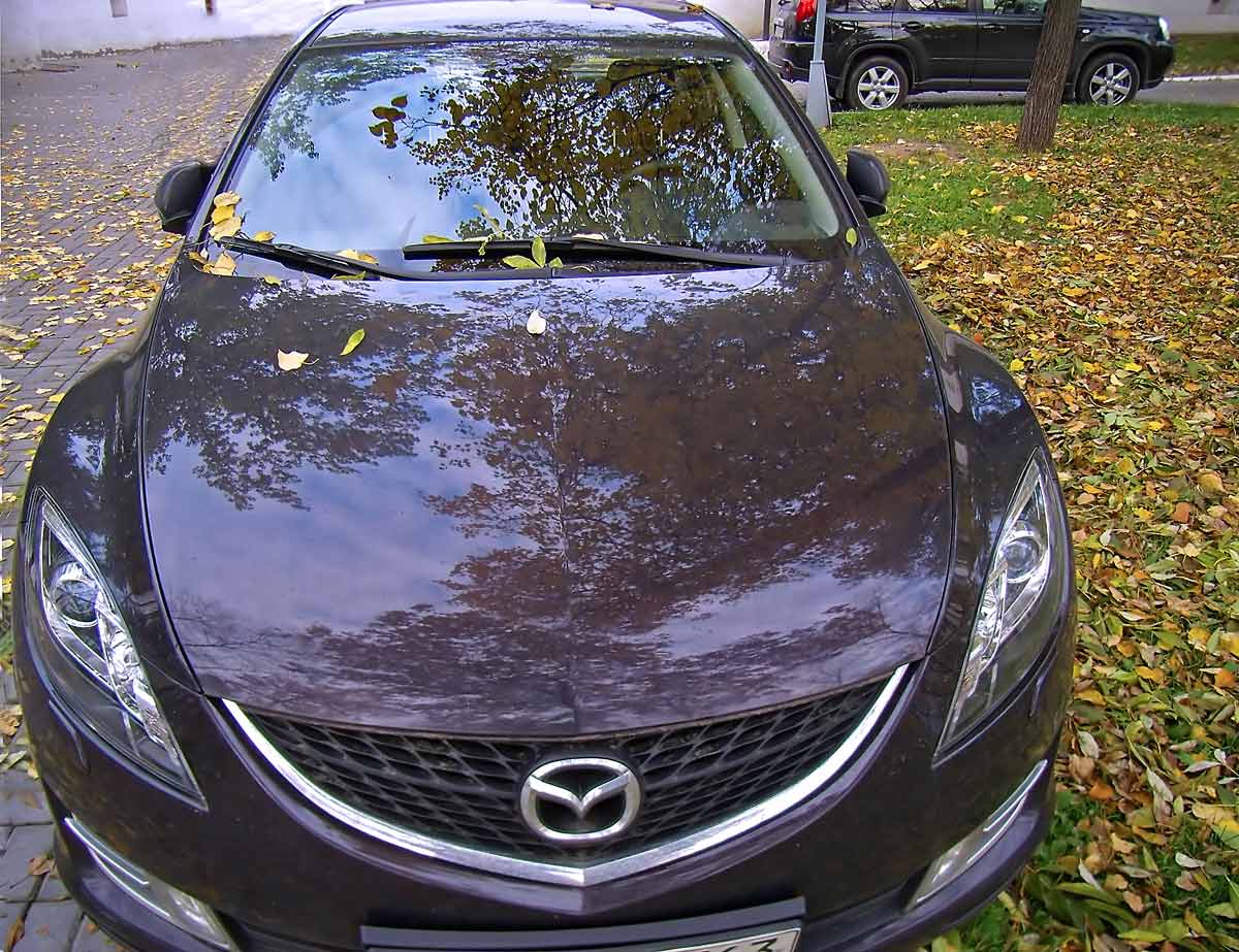  [��������� �������]