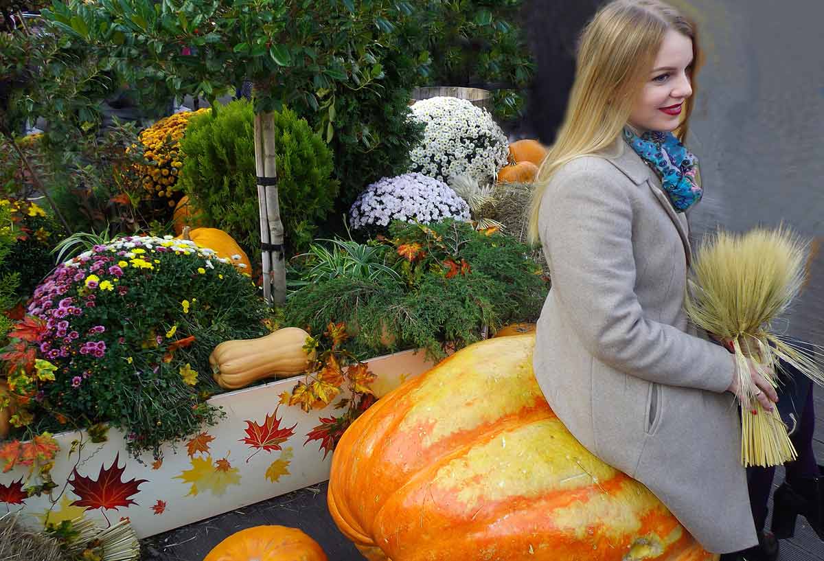  [��������� �������]