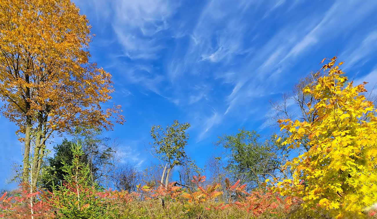  [��������� �������]