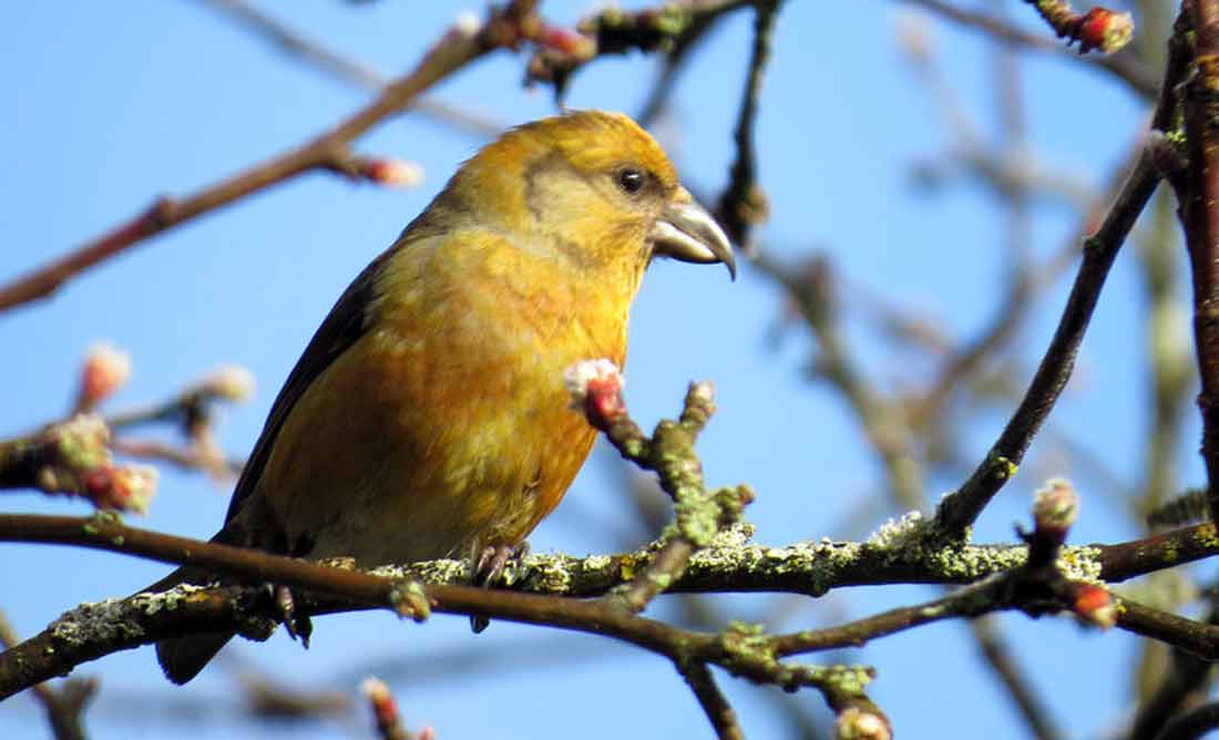 ����� [������]