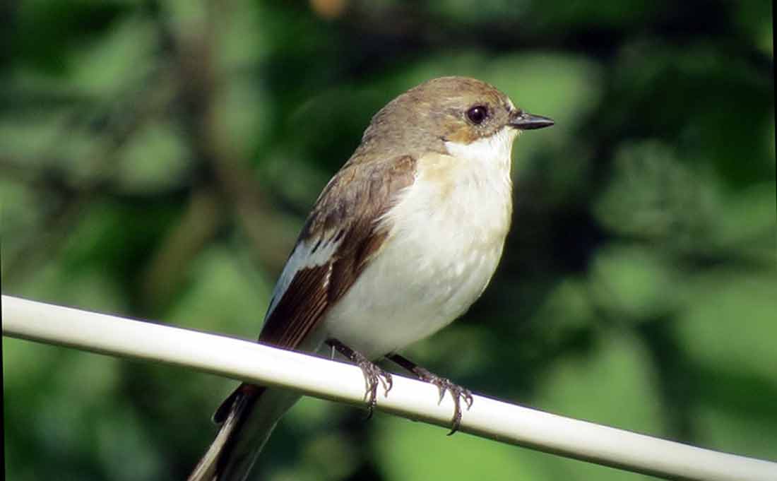 ���������-��������� [������]