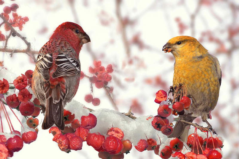 ��� (����� � �����) []