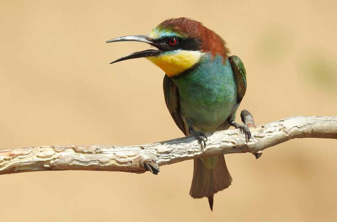 ����� ���������� [LudmilaZueva]