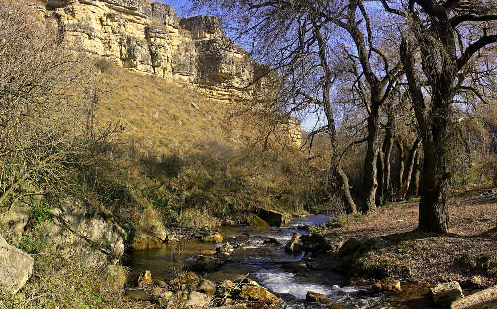  [��������� �������]