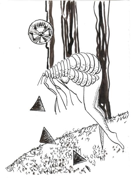 ���������� ���� [��������� �����]