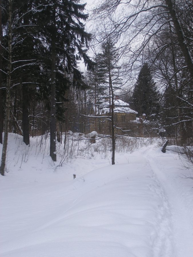 ������ ���� []