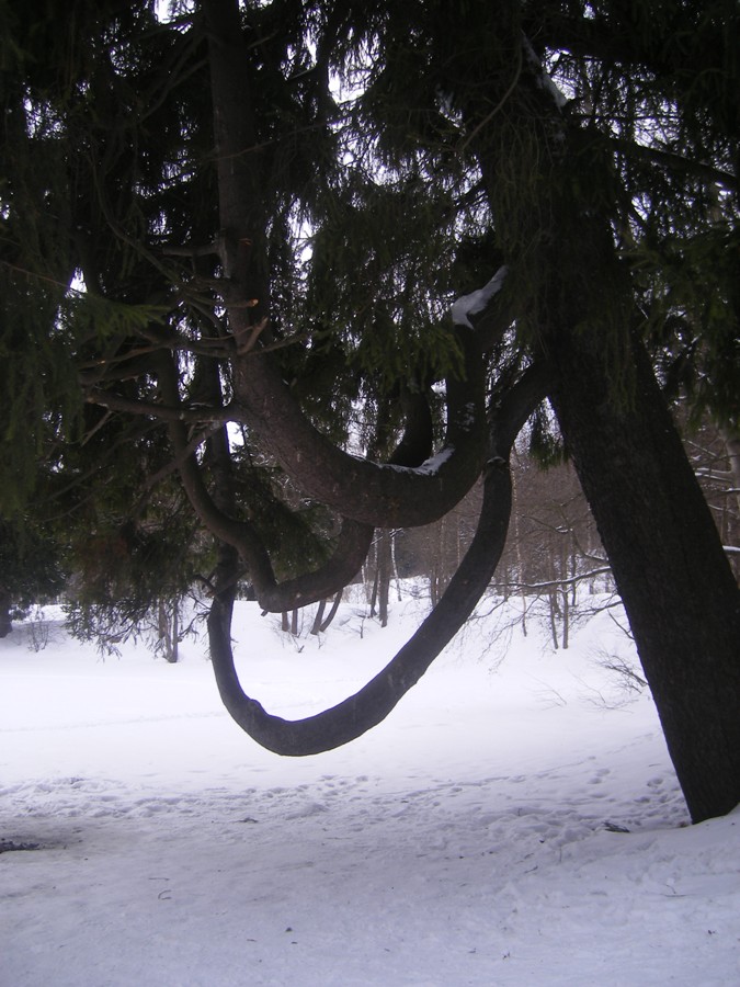 ��� � ����� []