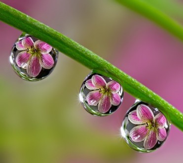 ����� ���� [http://mirpozitiva.ru/uploads/posts/2017-01/1484037304_05.jpg]